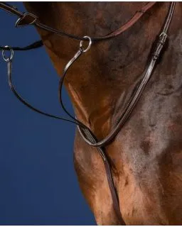 Martingal US Jumping Collection fra Dy'on