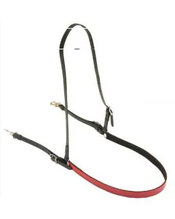 Wahlsten Bringestykke