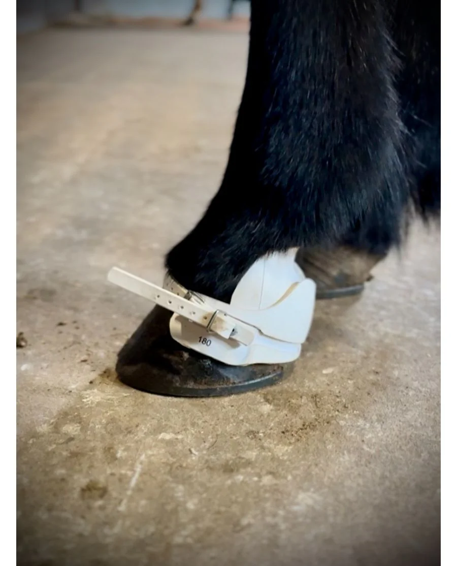 EQUES Super Boots Vægt Klokker