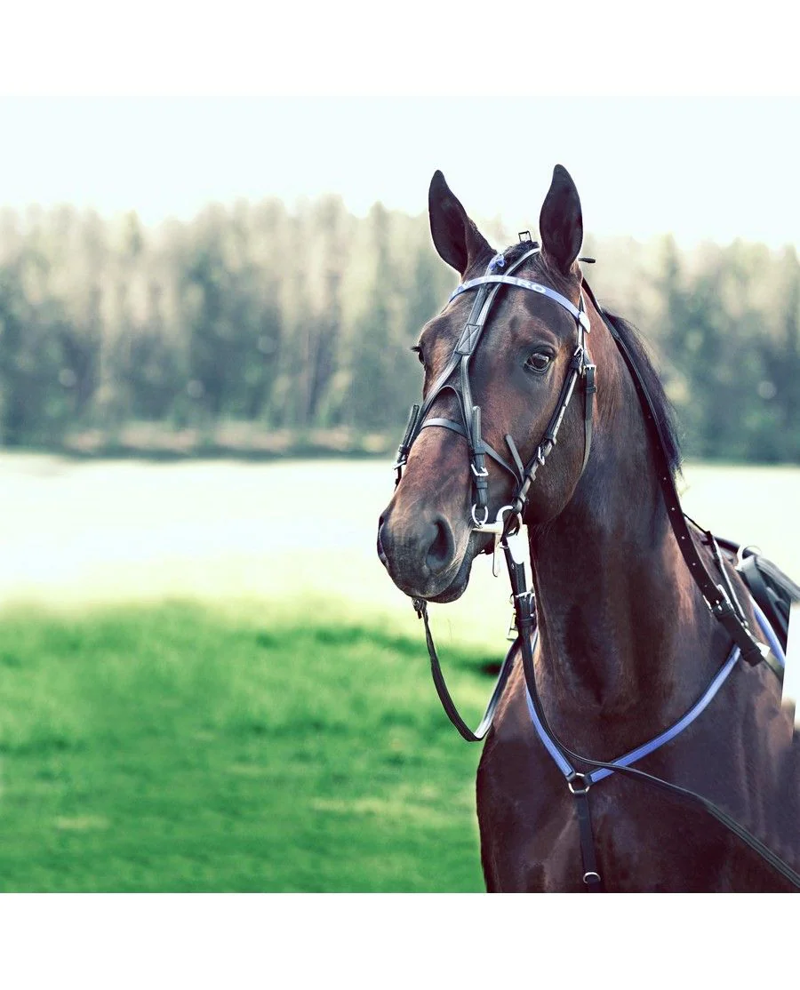 Syntetisk Hovedlag Beta Finntack