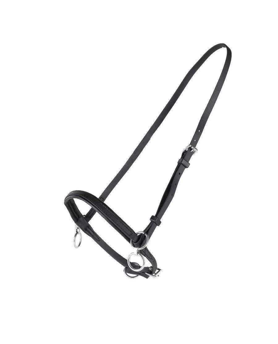 Finntack Spærregrime Syntet. Fåes kun i str. Cob