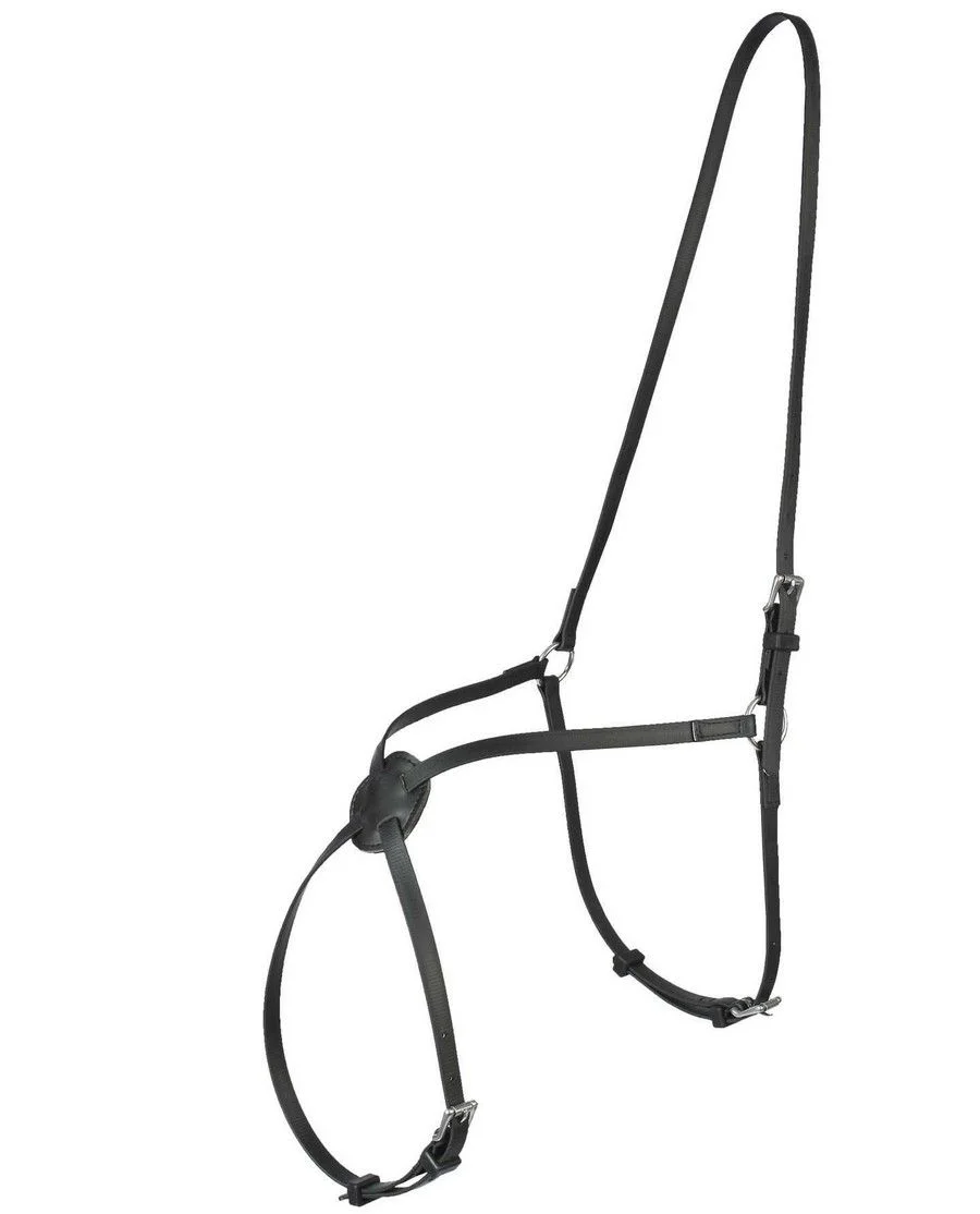 Finntack Krydspuller i Syntet. Figur 8.