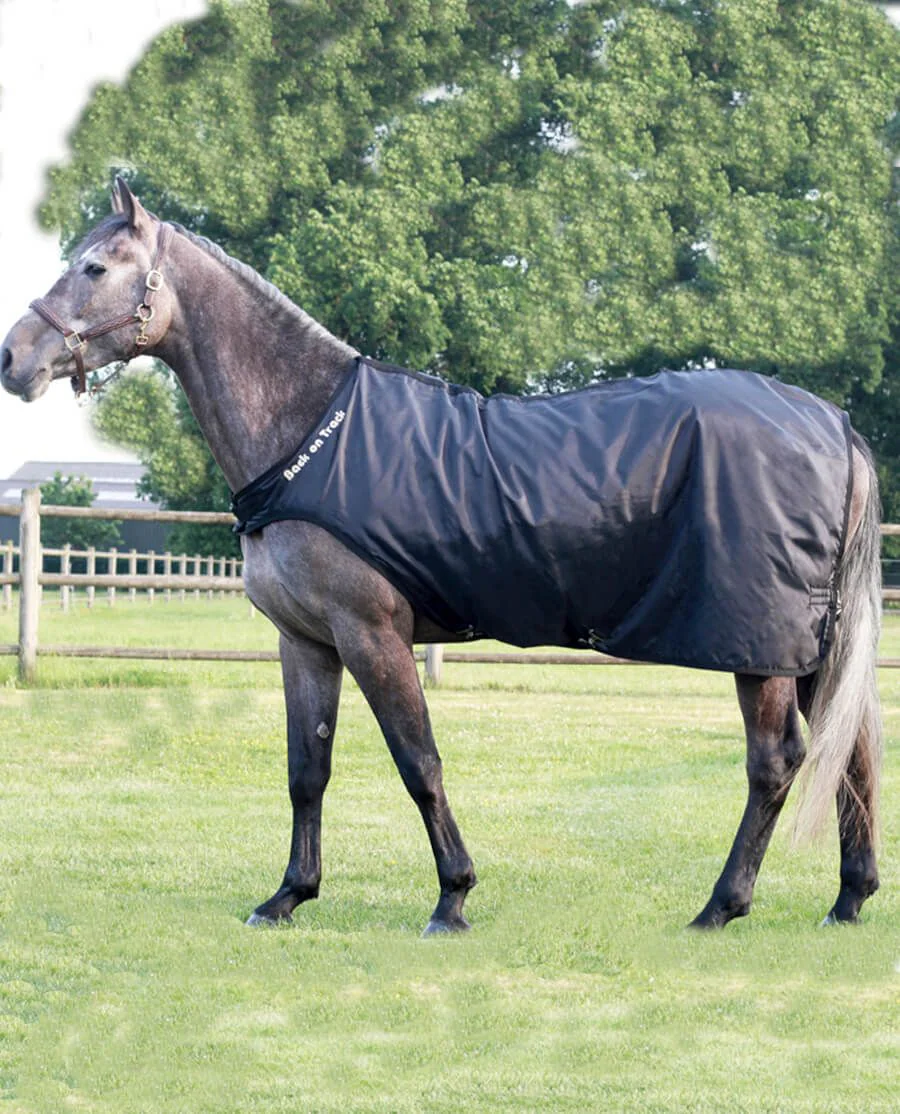 Skridtmaskinedækken fra Back on Track
