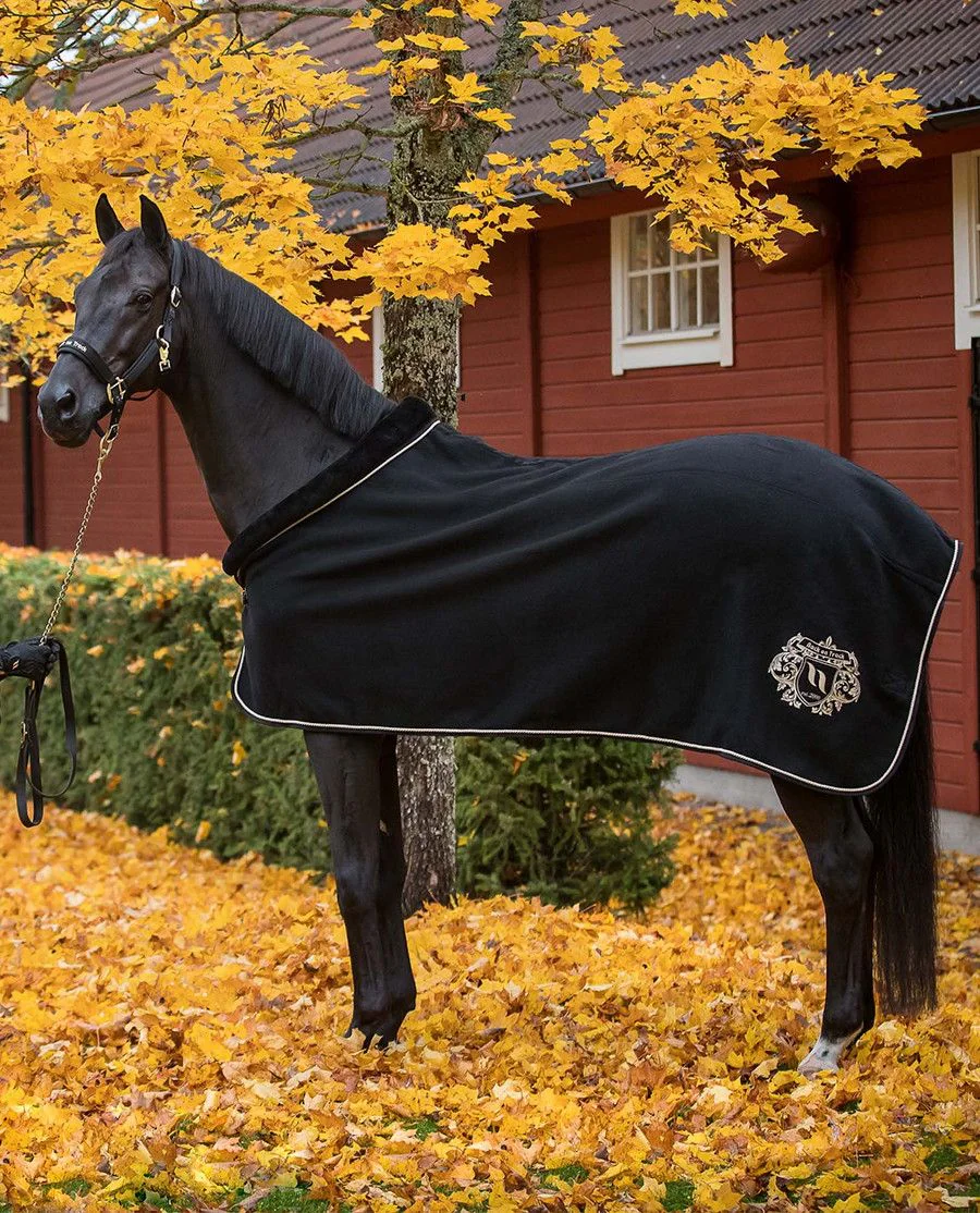 Edward Ulddækken fra Back on Track