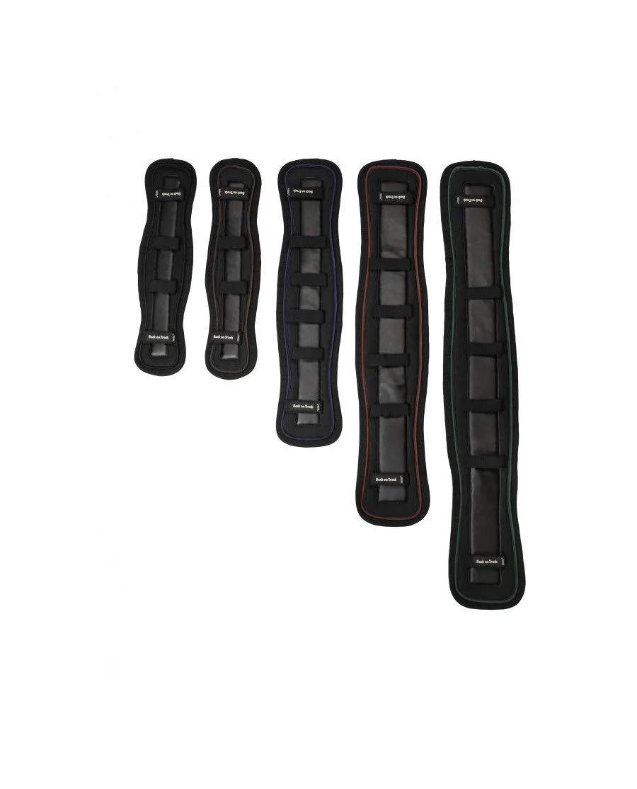 Galena Seleunderlag fra Back on Track