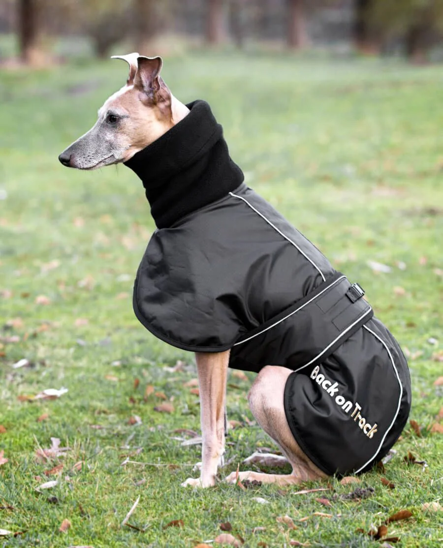 Back on Track Whippet Vinterdækken