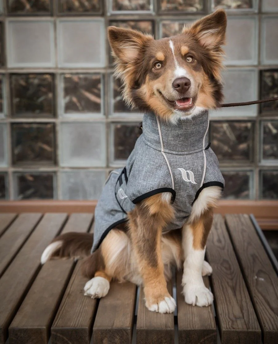 Nella hundedækken fra Back on Track - Grå