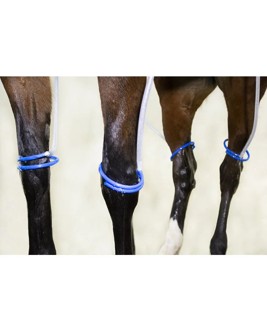 Kølesystem til ben og hove Finntack