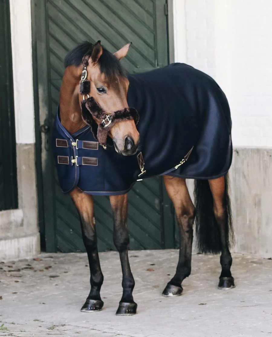3D Spacer Cooler Sheet fra Kentucky Horsewear-Navy