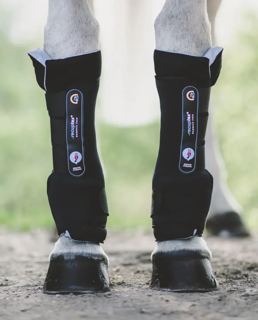 Magnetic Stable Boots Recuptex fra Kentucky Horsewear
