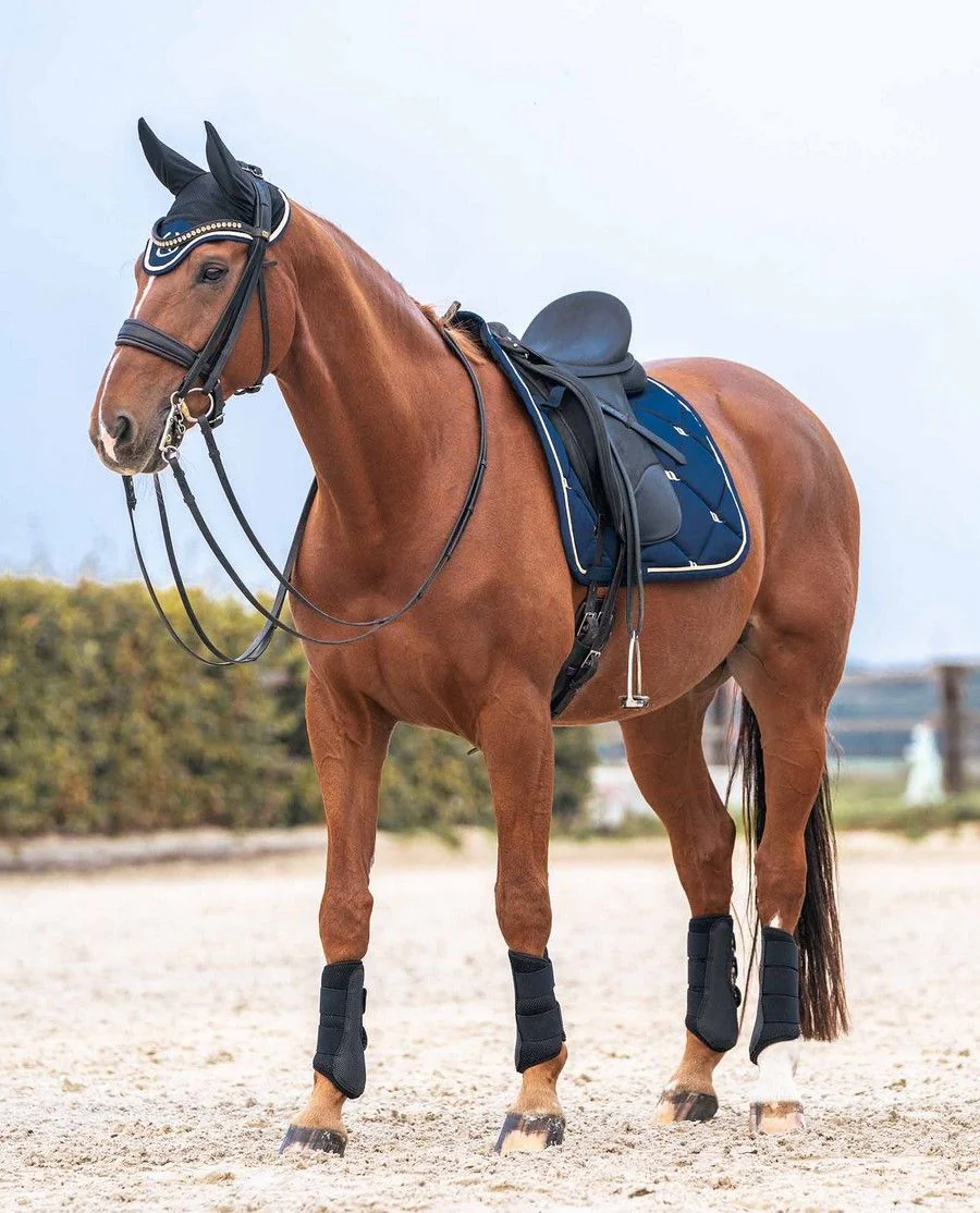 Nights Collection Dressurunderlag fra Back on Track - Noble Blue