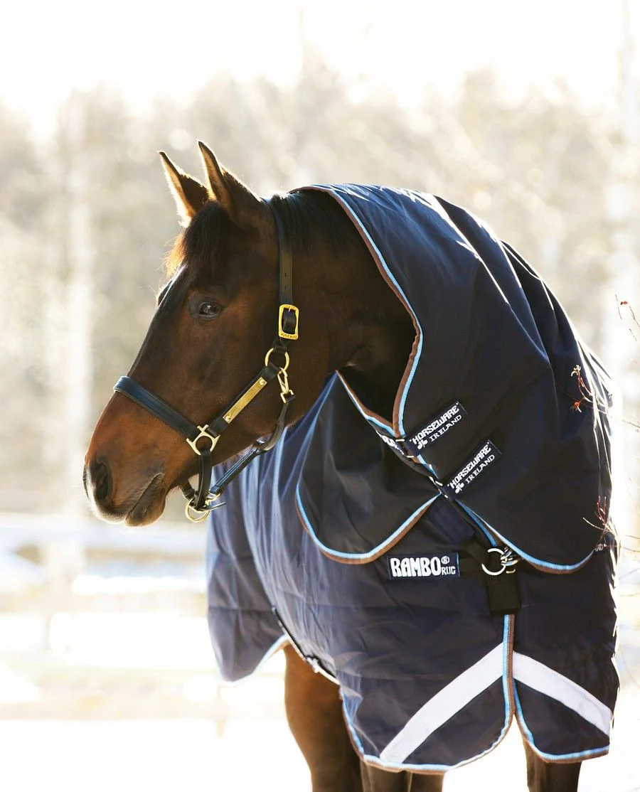 Rambo Duo Hood/100g fra Horseware - Navy/Sky Blue/Brown