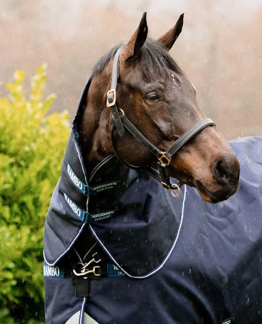 Rambo Duo Force Hood/ Hals fra Horseware