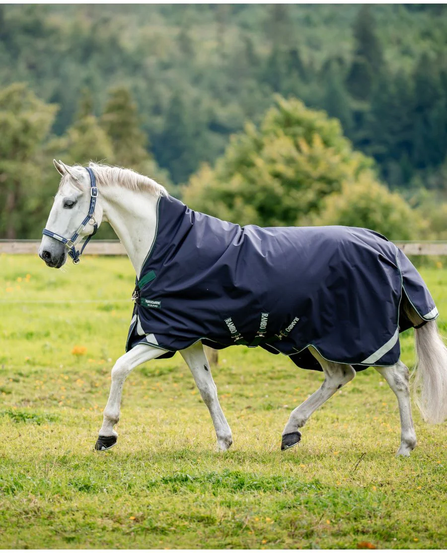 Navy/Hunter Green and Silver