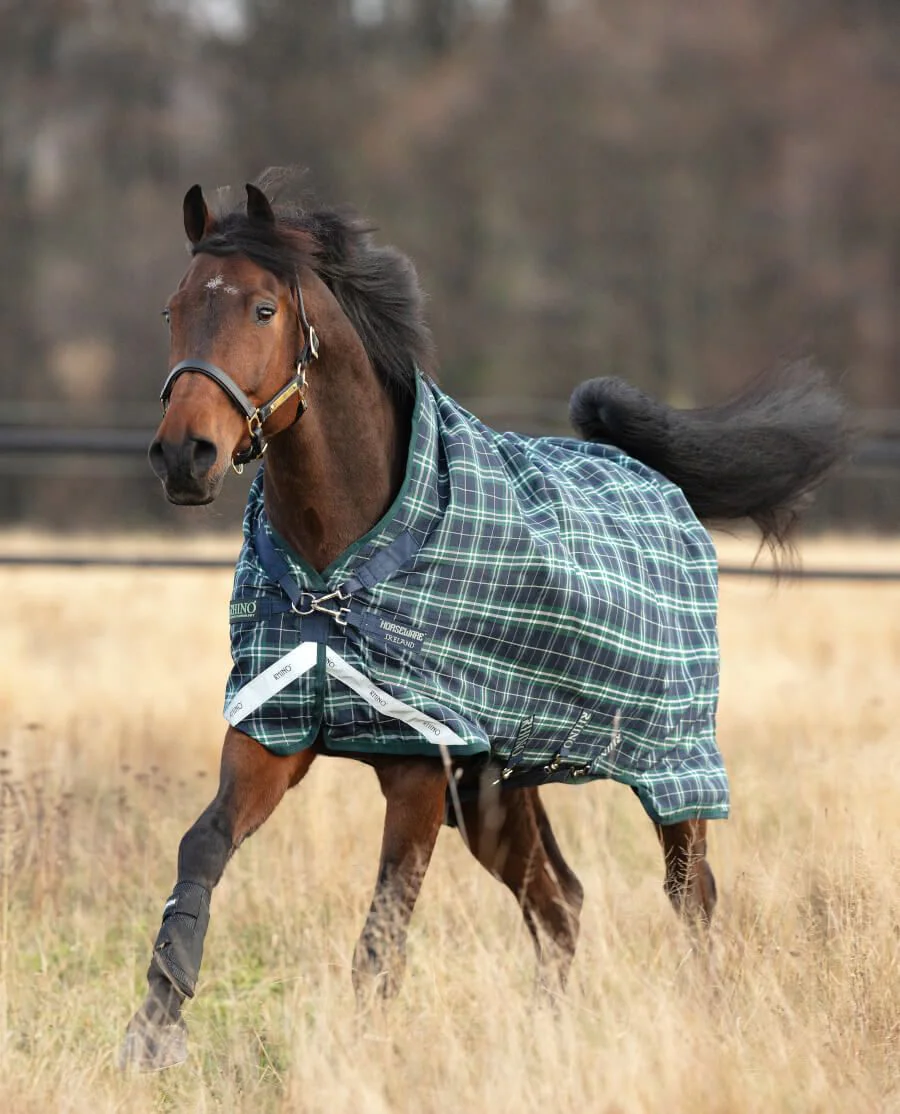 Hunter Check/Navy, Green