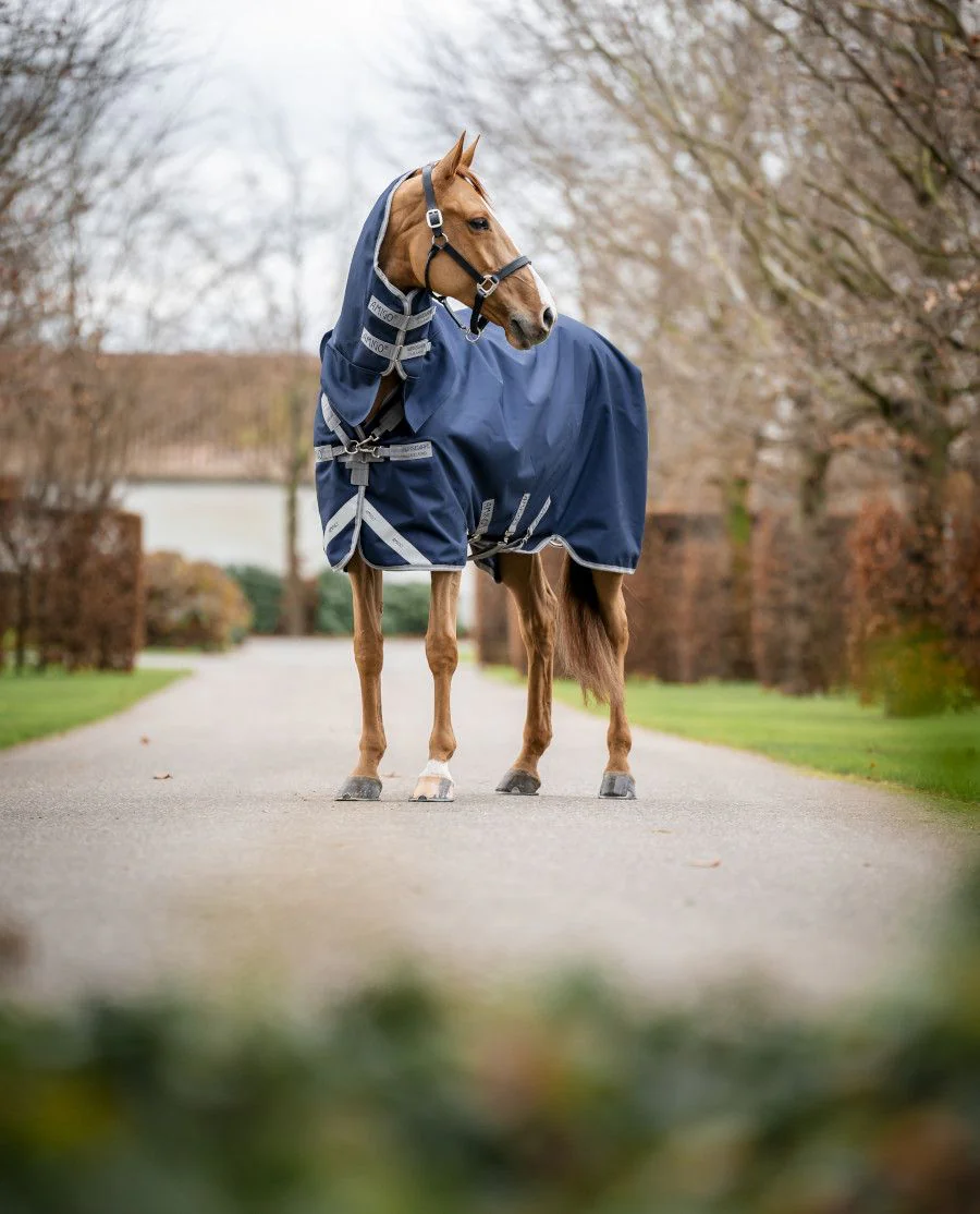 Navy/Titanium Grey and Silver