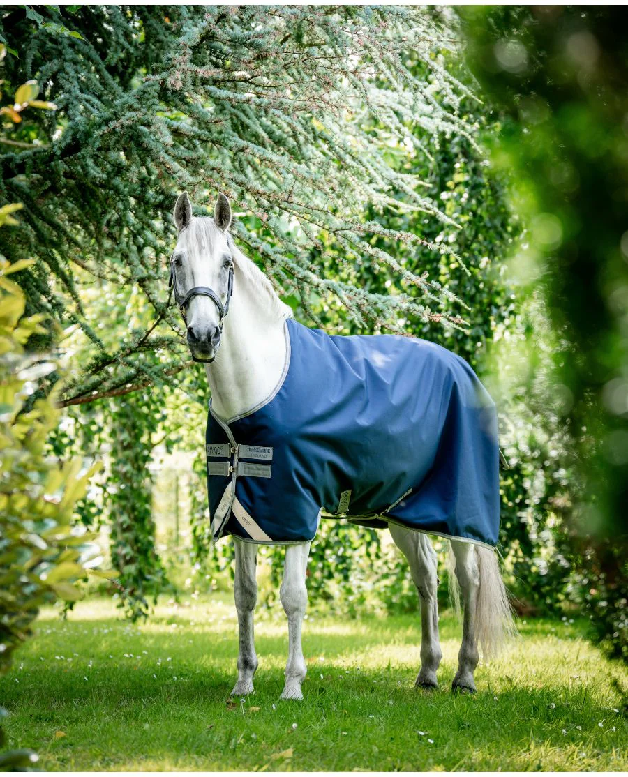 Navy/Titanium Grey & Silver
