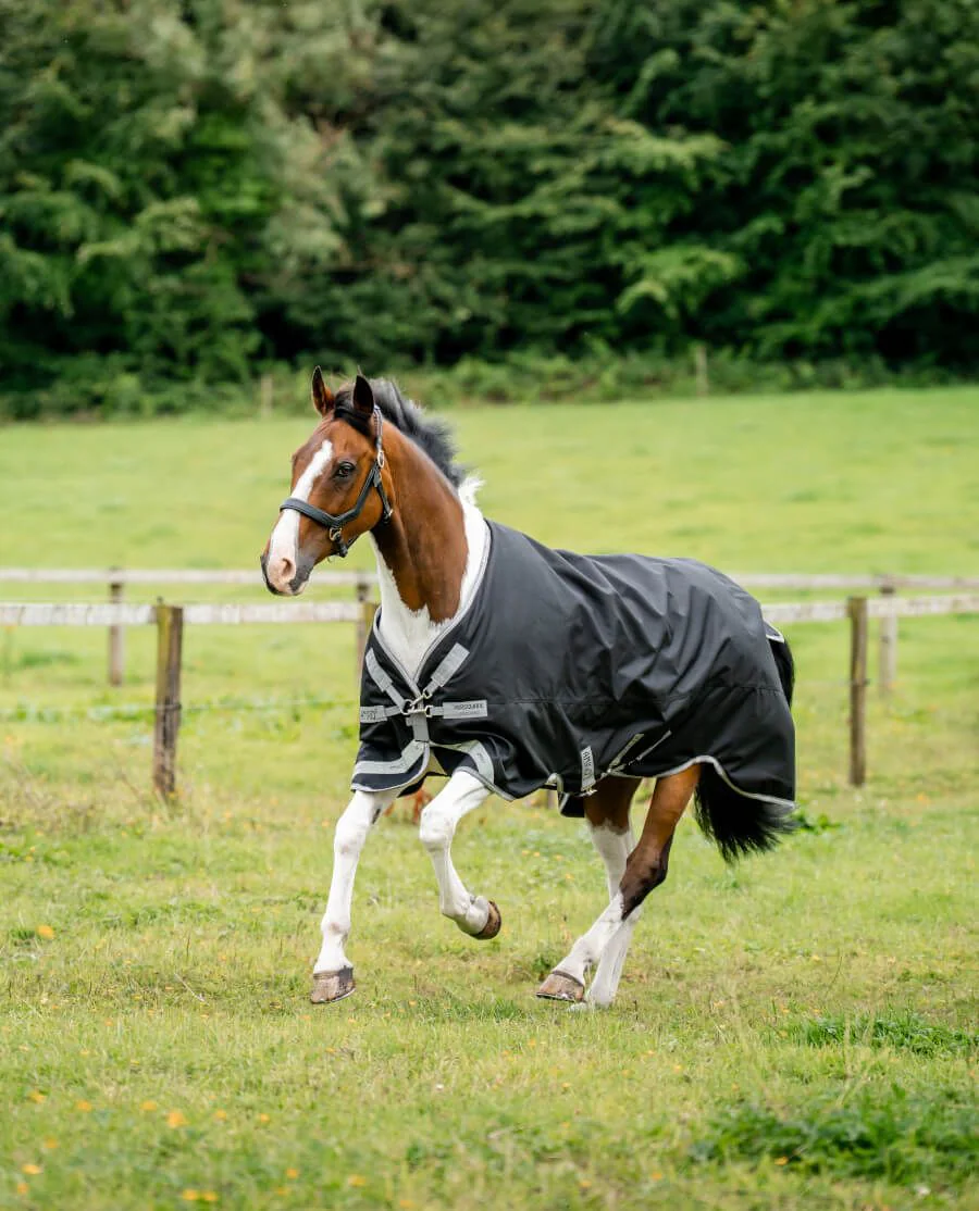 Black/Titanium Grey and Silver