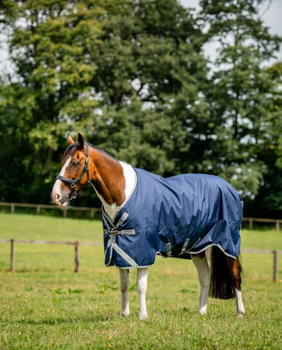 Navy/Titanium Grey and Silver