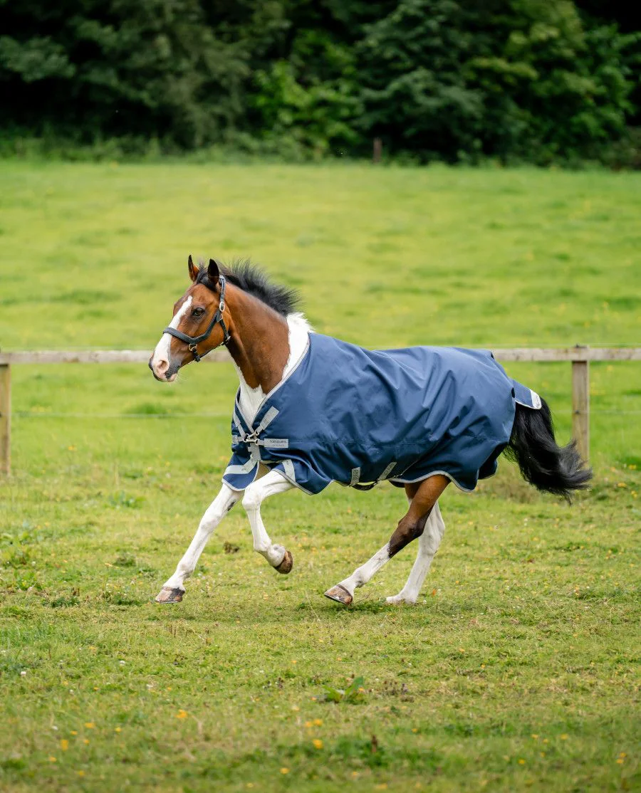 Navy/Titanium Grey and Silver