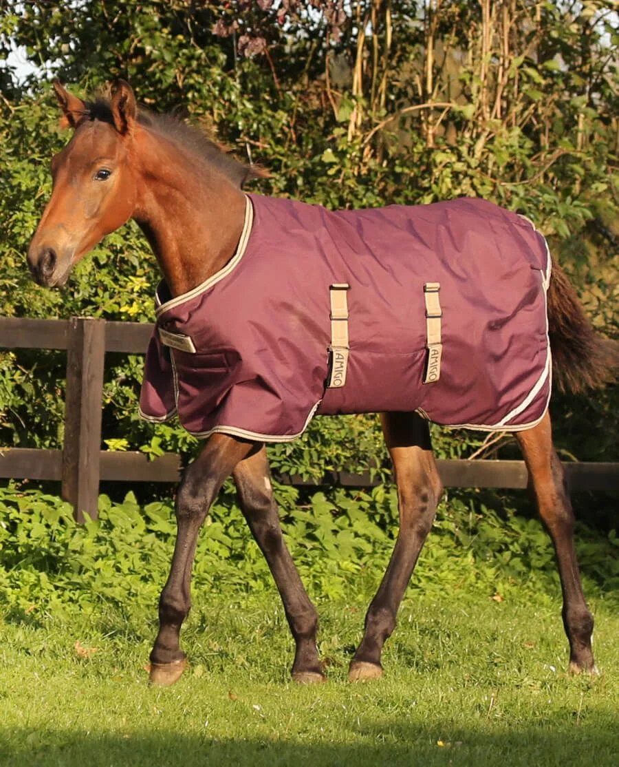 Amigo Ripstop Føldækken/ 200G fra Horseware