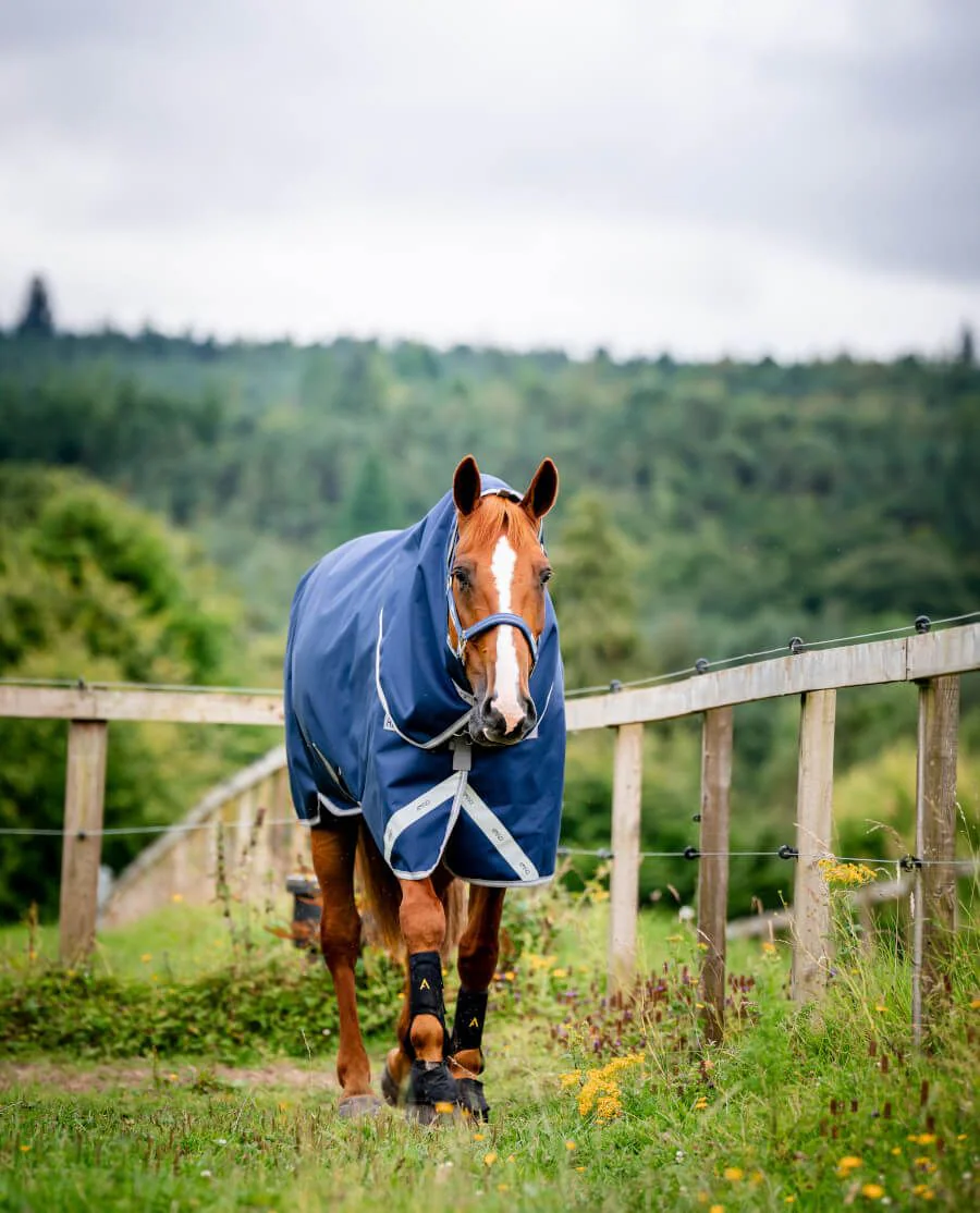 Navy/Titanium Grey and Silver