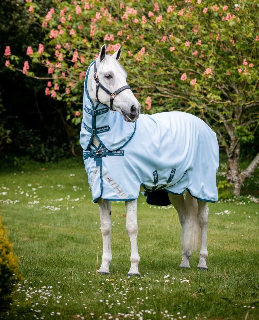 Amigo Plant Dye/50g fra Horseware - Blue/Navy