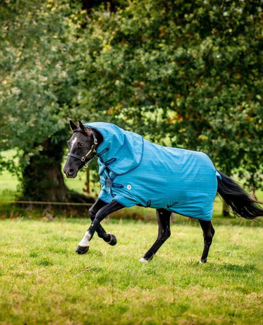 Horseware Amigo Hero 900 Revive Plus 200G