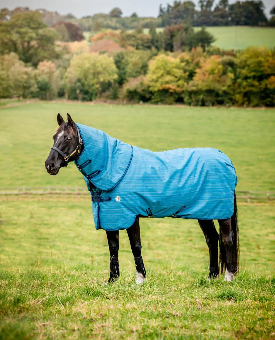 Ocean Blue/Navy and Electric Blue