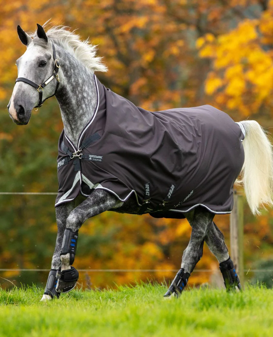 Amigo Bravo 12 Wug lite/ 0G fra Horseware - Excalibur with Plum, White and Silver