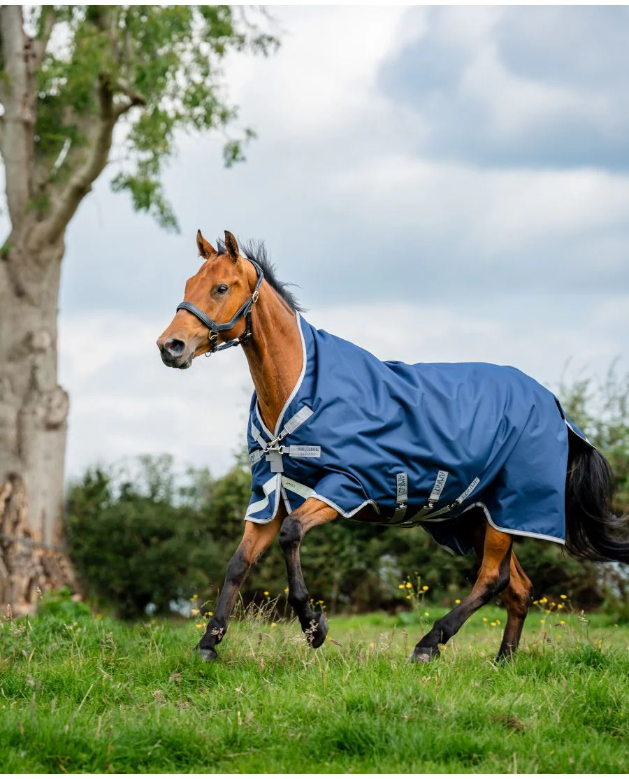 Navy/Titanium Grey and Silver
