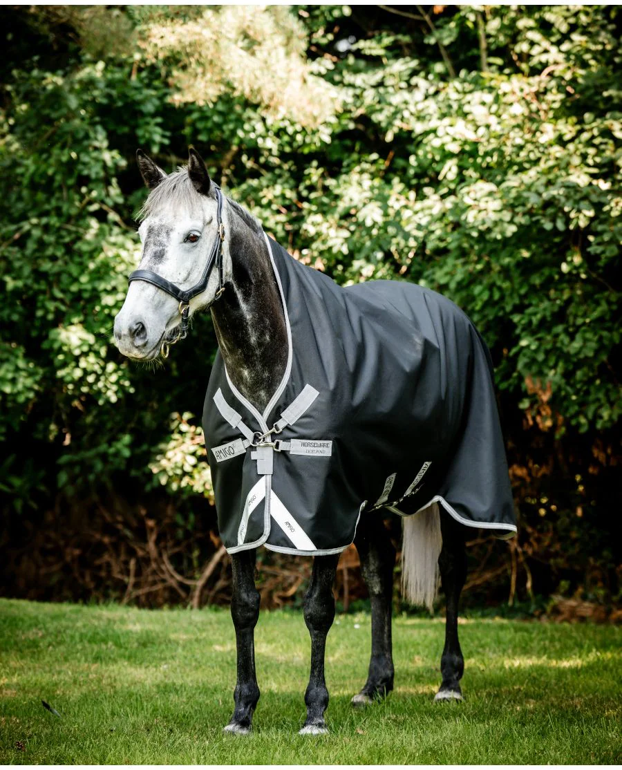 Black/Titanium Grey and Silver