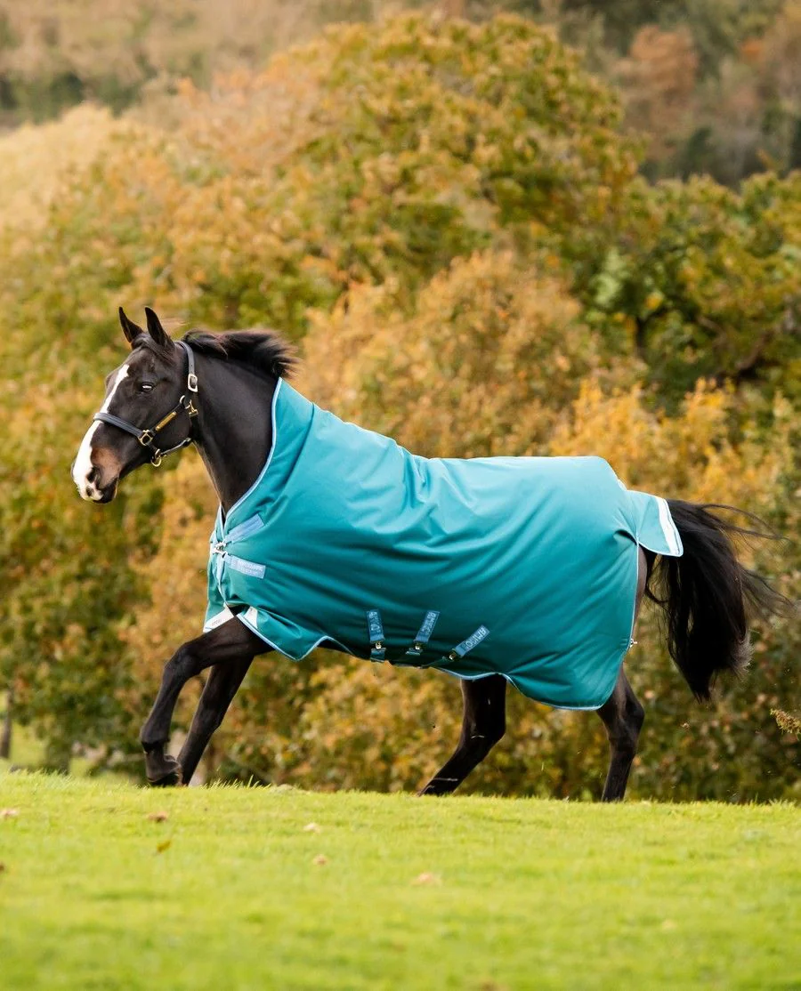 Amigo Bravo 12 Wug Heavy/ 400G fra Horseware - Storm Green/Turquoise, Aqua and Blue