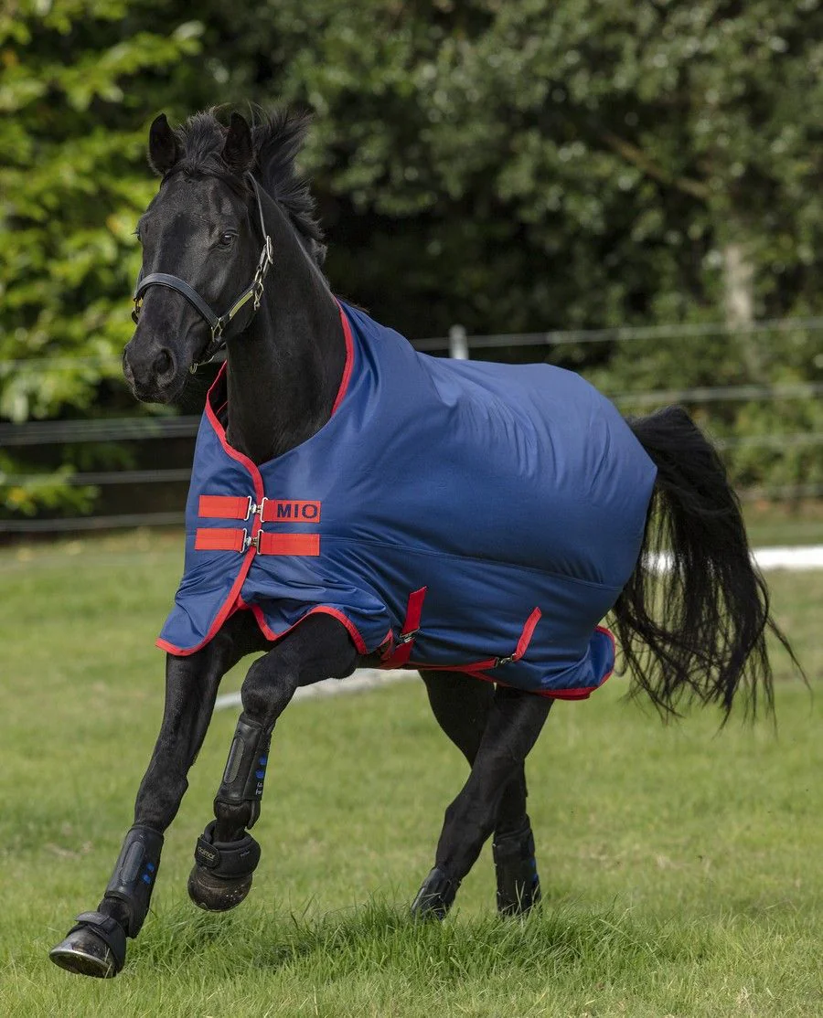 Mio Medium/ 200G fra Horseware - Dark Blue/Dark Blue with Red