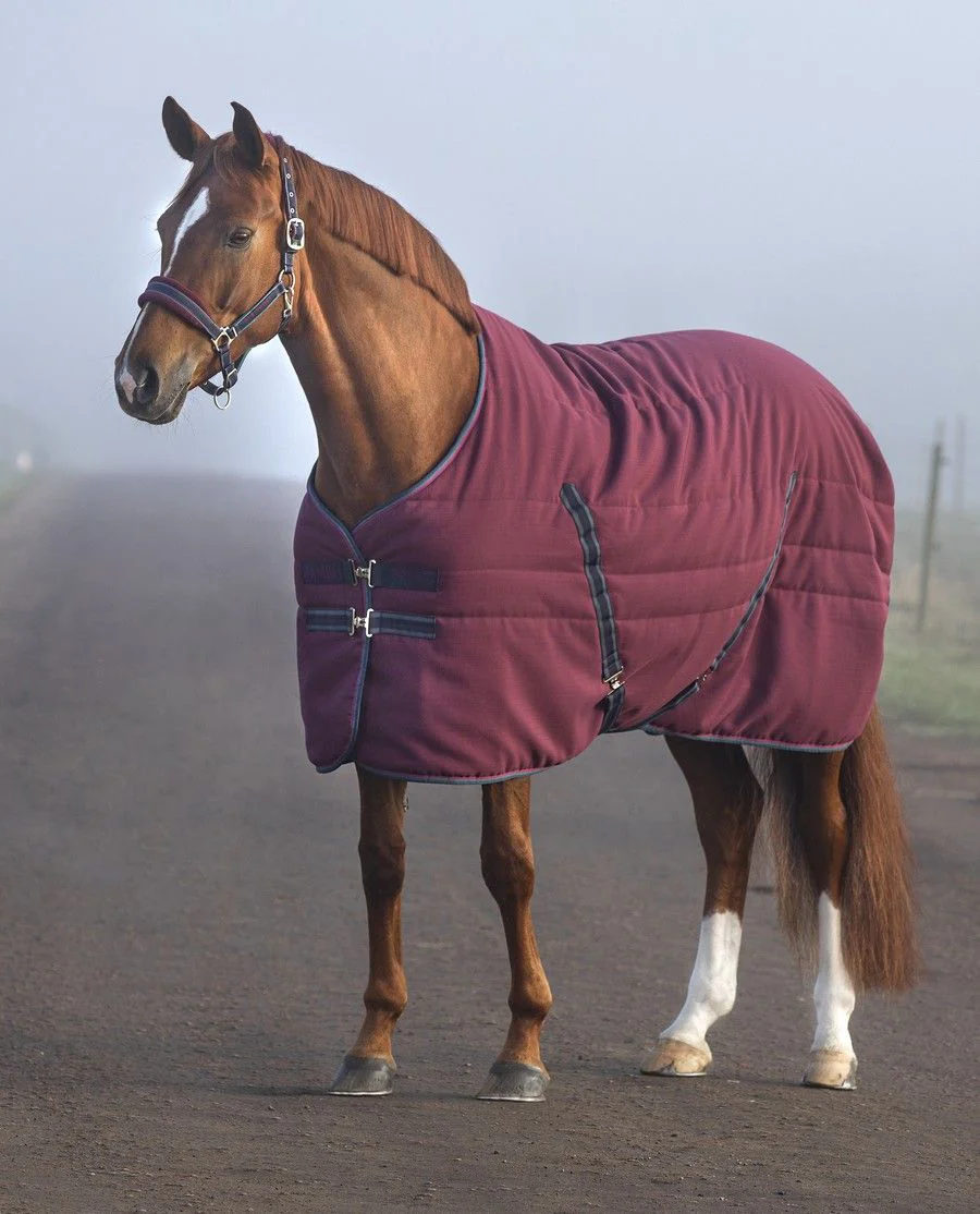 Rambo Stable Rug 100g - Burg/Burg, Teal, Navy