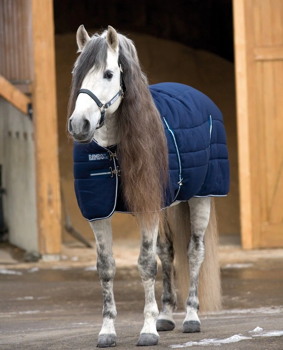 Rambo Stable Rug 200g fra Horseware - Navy with Navy and White