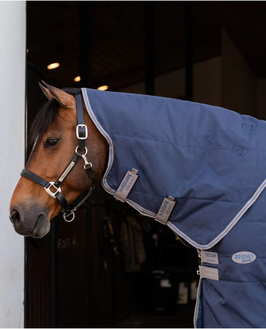Navy/Titanium Grey and Classic Blue