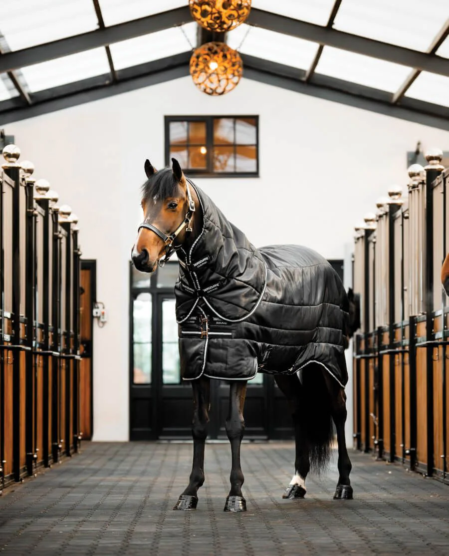 Black/Black and Silver