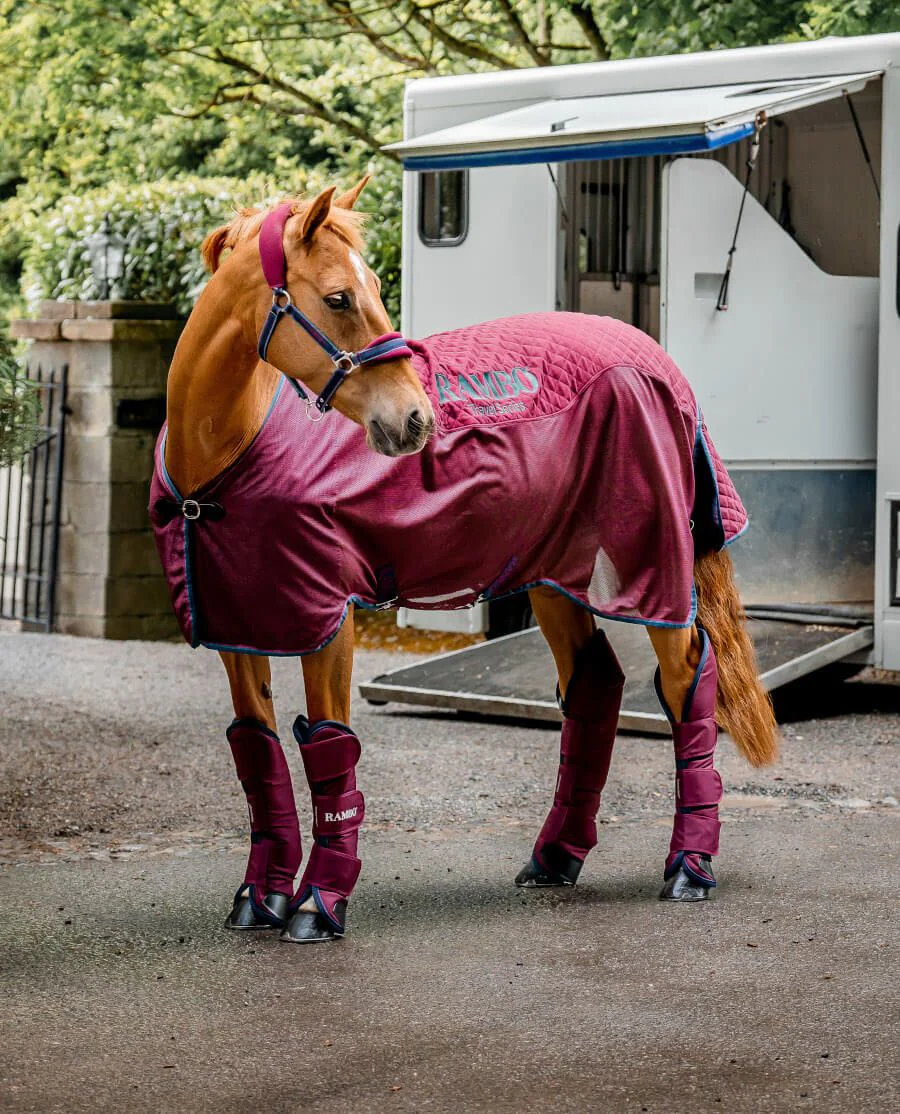 Rambo Travel Series fra Horseware - Burgundy/Burgundy, Teal, Navy