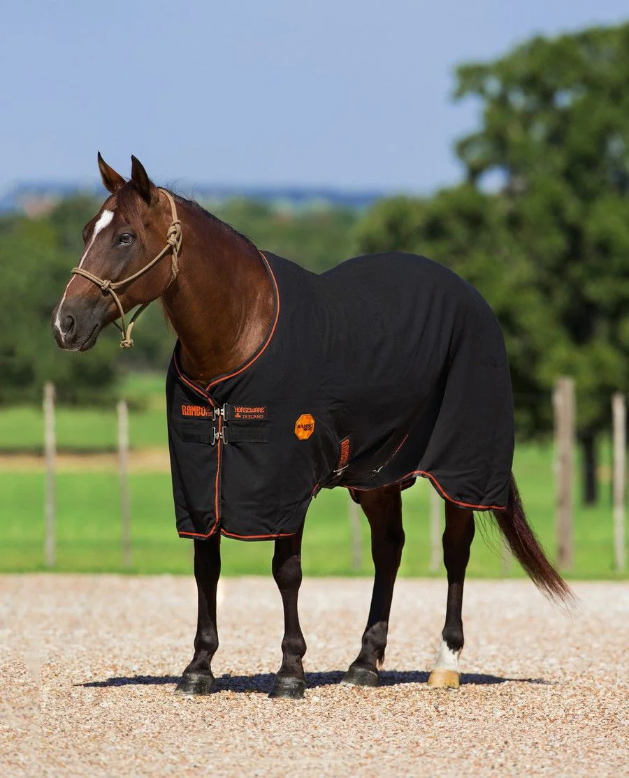 Rambo Ionic Stable fra Horseware - Sort