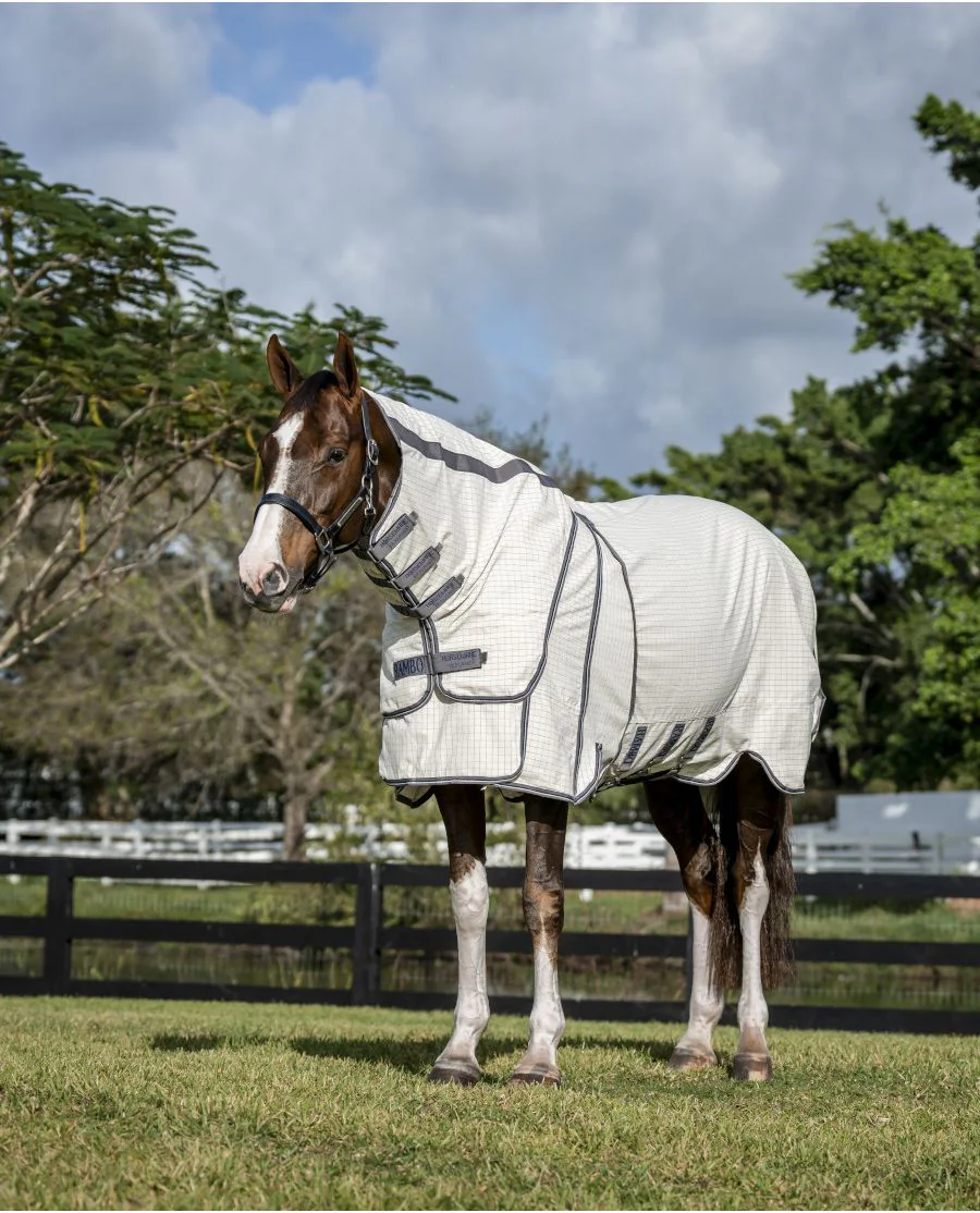 Navy Check/Thunderstorm Grey and Silver