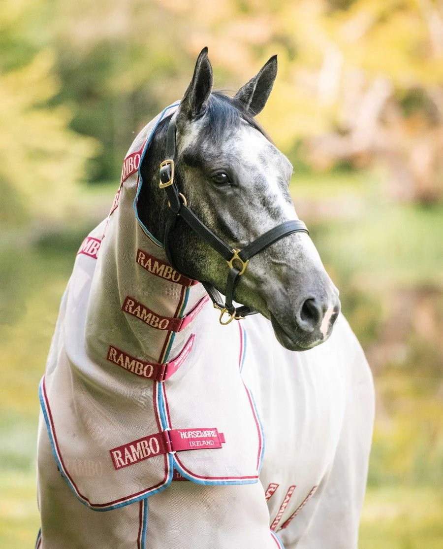 Rambo Protector Disc-front fra Horseware - Oatmeal/Cherry, Peach and Blue