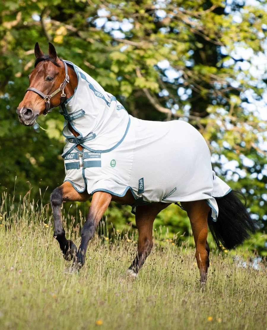 Amigo AmEco Bug Rug fra Horseware - Silver/Teal