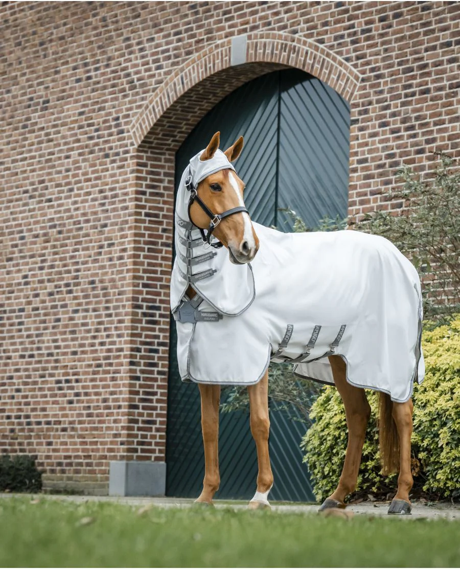 Silver/Titanium Grey and Silver