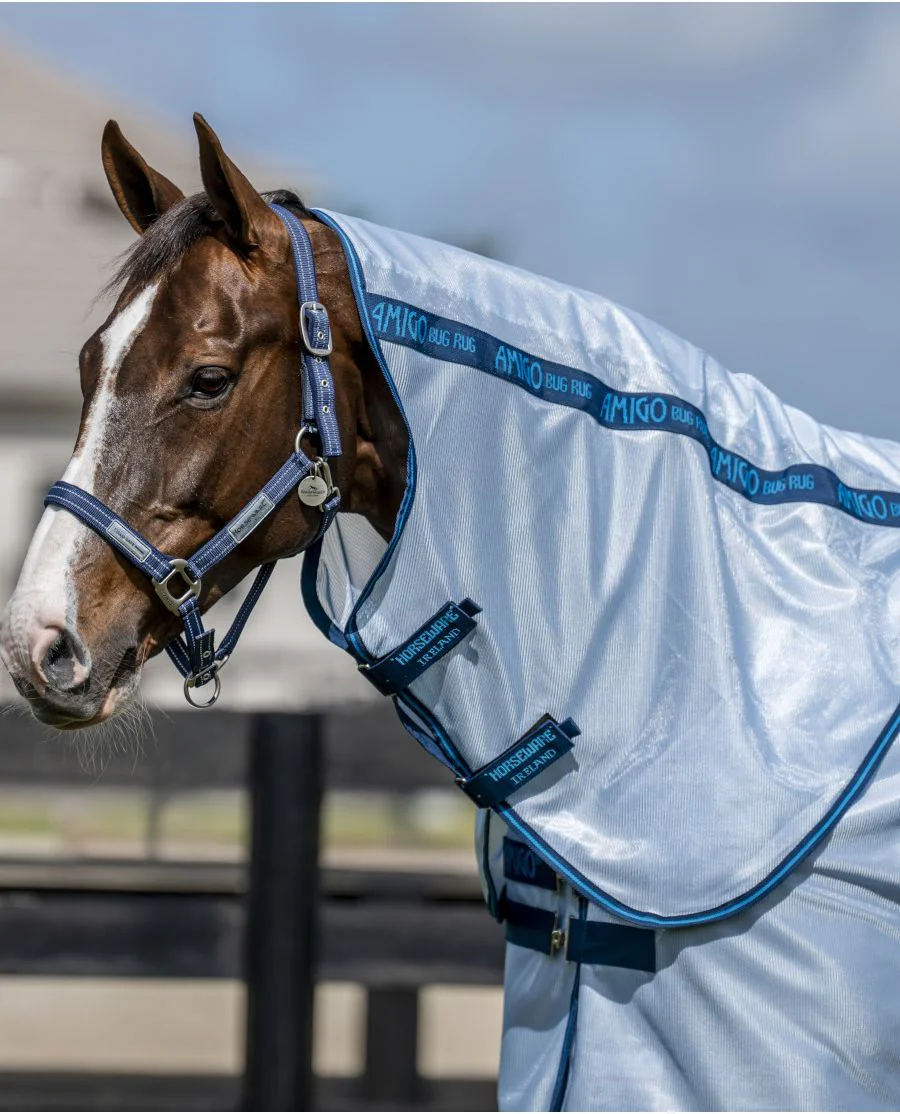 Azure Blue/Navy and Electric Blu