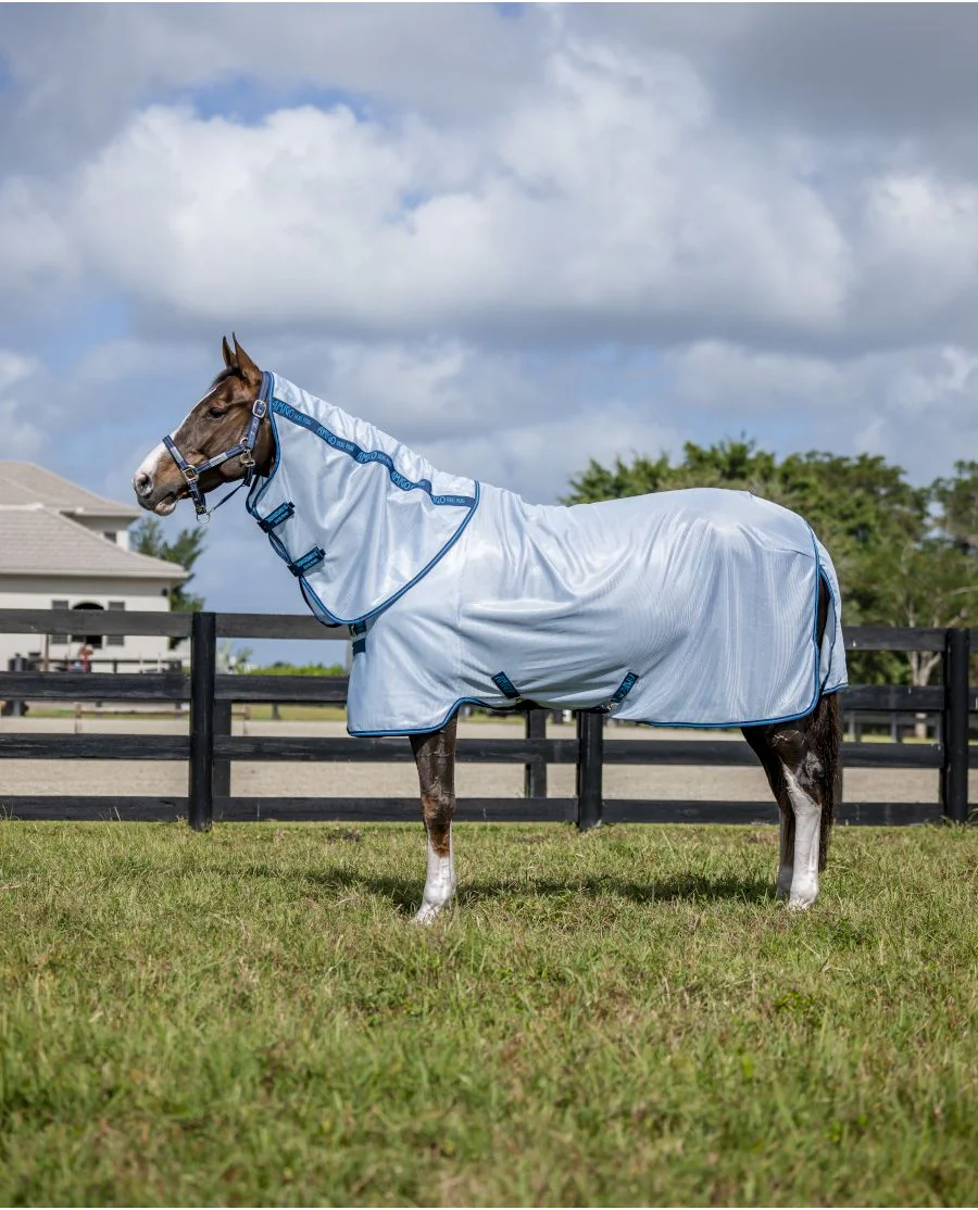 Azure Blue/Navy and Electric Blue