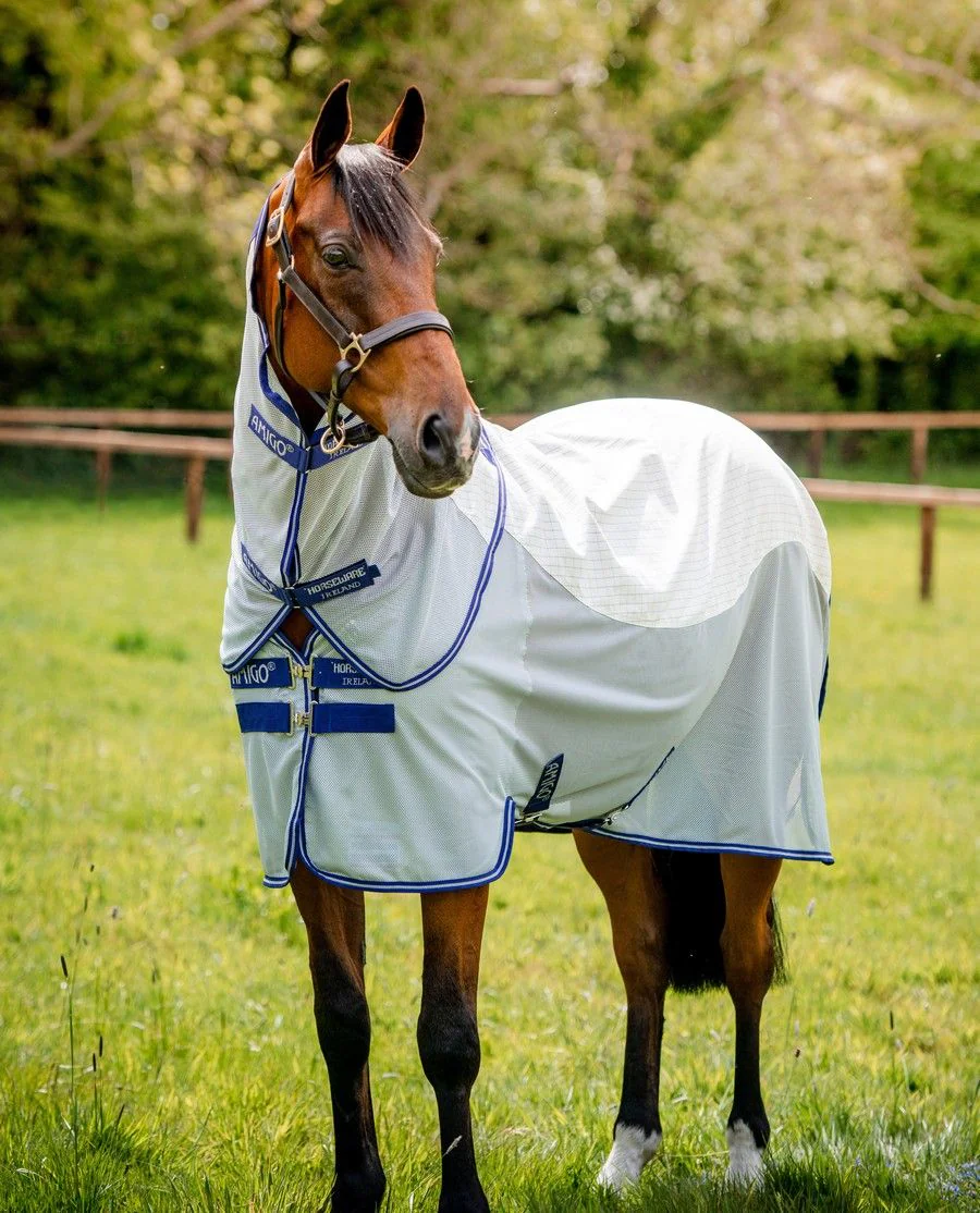 Amigo Airflow fra Horseware - Blue Check/Atlanic Blue and Ivory