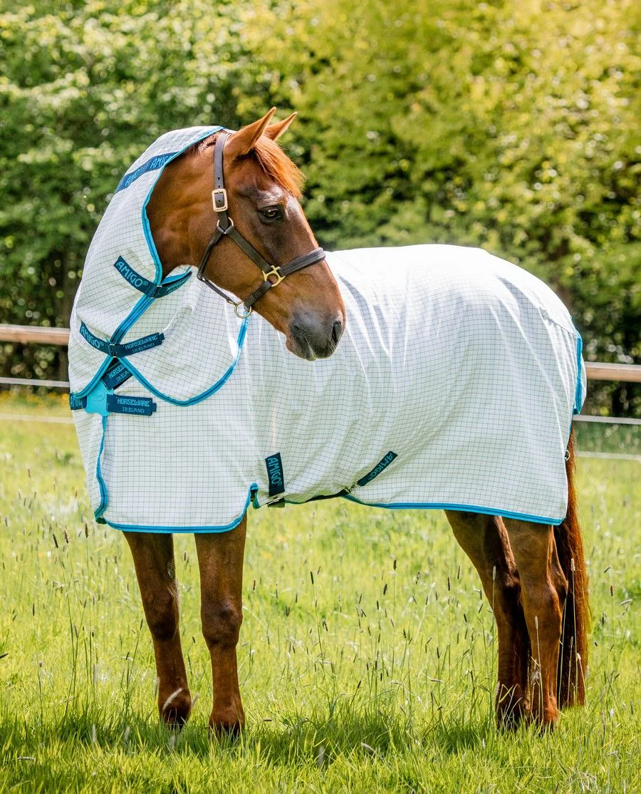 Amigo Aussie Allrounder fra Horseware - Blue Check/Electric Blue and Navy