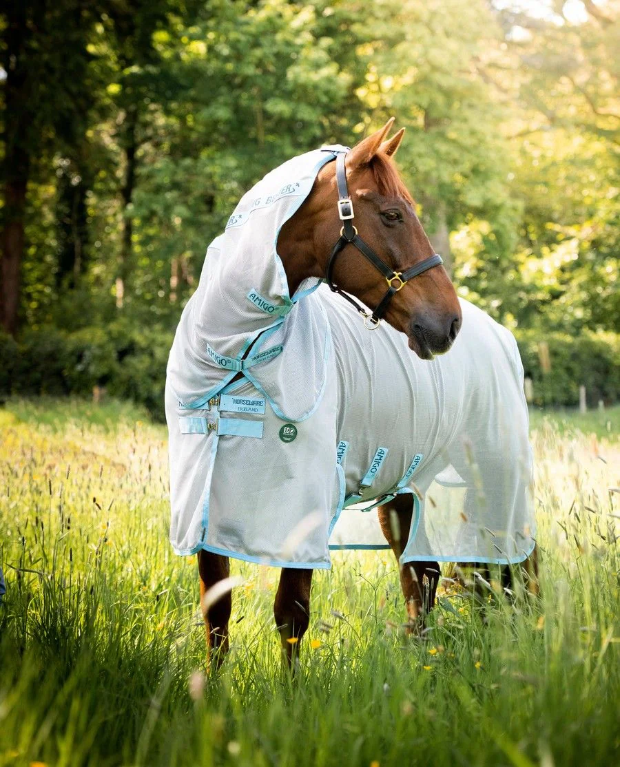 Amigo AmEco Bug Buster fra Horseware - Silver/Sky Blue