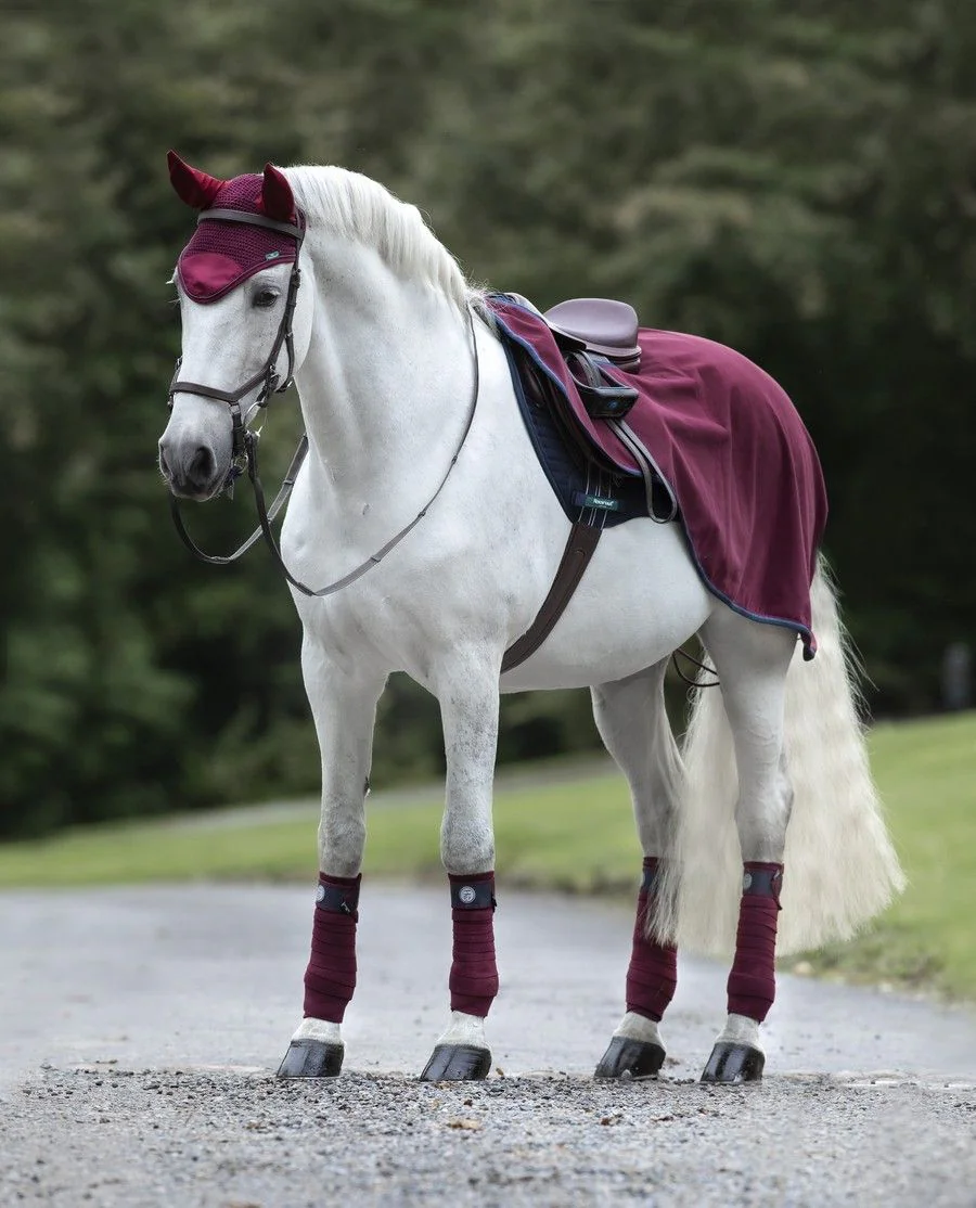 Rambo Waterproof Fleece Competition Sheet fra Horseware - Burgundy/Burgundy, Teal and Navy